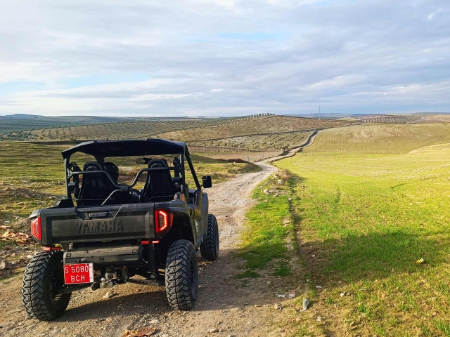 Recorre todos los senderos alquilando un buggy