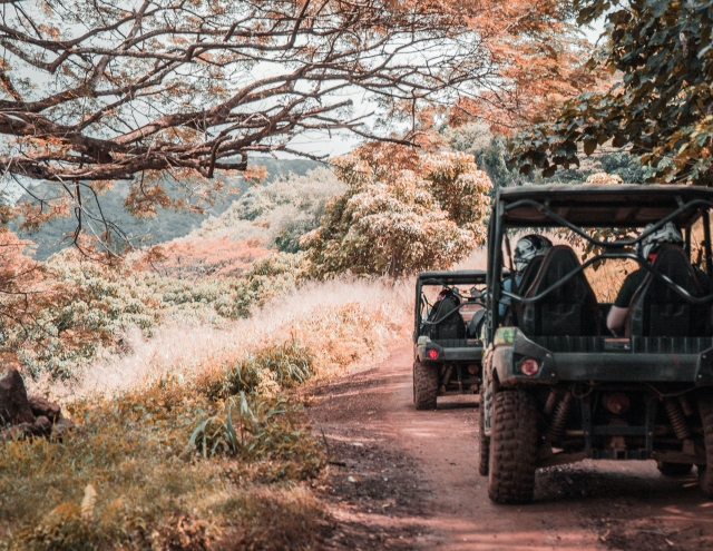  Conduisez un buggy et amusez-vous