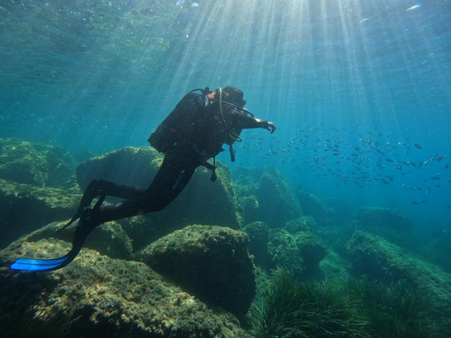  First time diving 