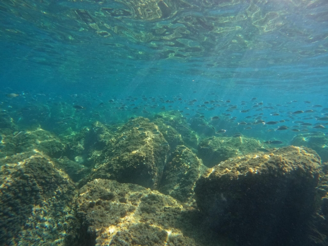  The bottom of the sea 