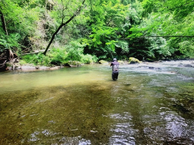  Fiume Navarra 