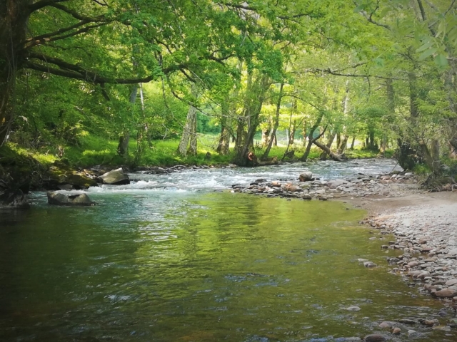  Fiume Baztán in Navarra
