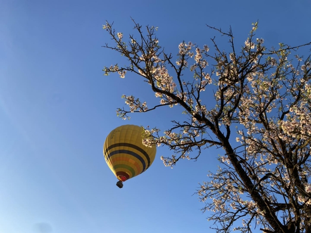  Mongolfiera in volo