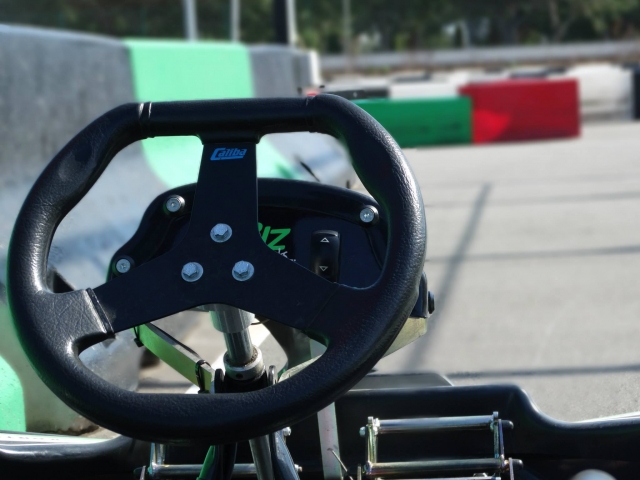 p-89439-volante-del-kart1739790483_17397907623311.jpg