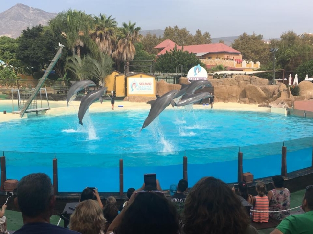 Espectáculo con delfines
