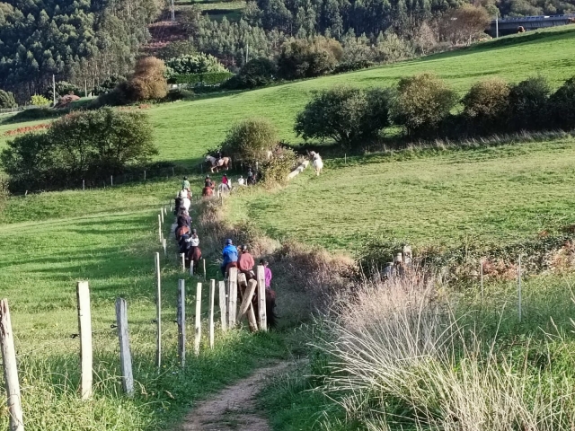  Activité équestre en groupe 