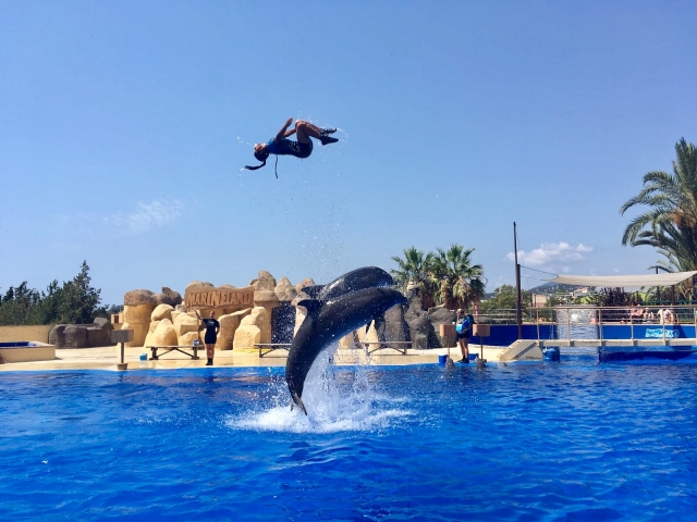 Exhibición con delfines