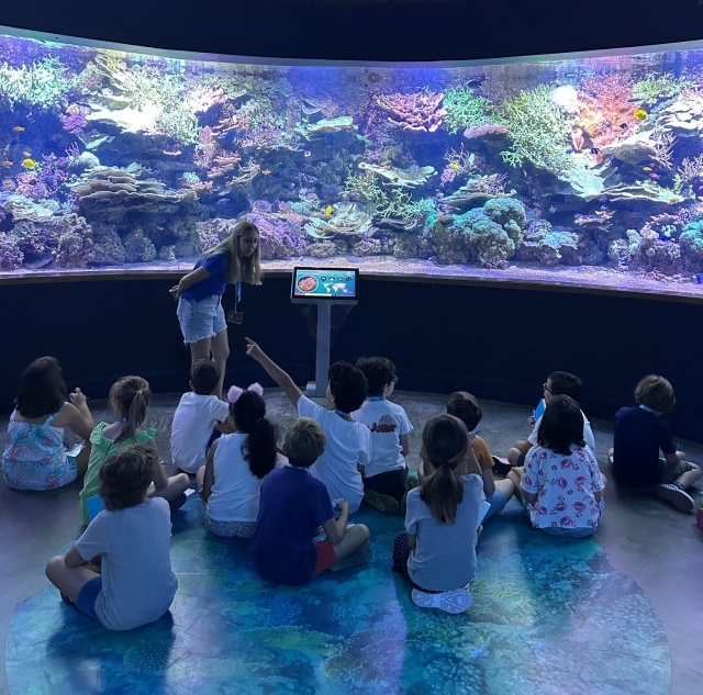  Seville aquarium excursion 
