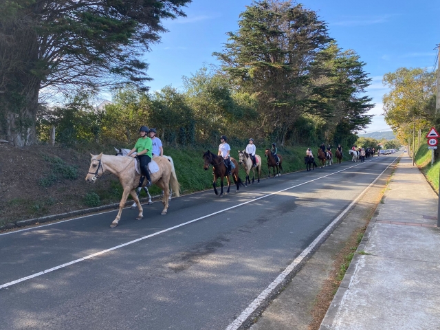 Paseo a caballo en grupo por el monte