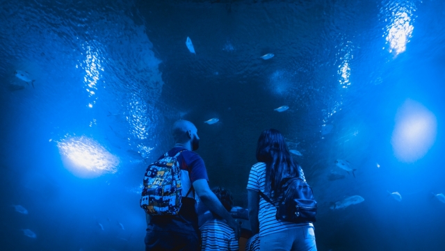 全家人一起探索水族馆 