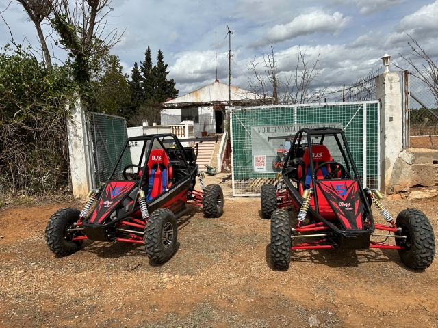  Buggies prontos para o circuito 