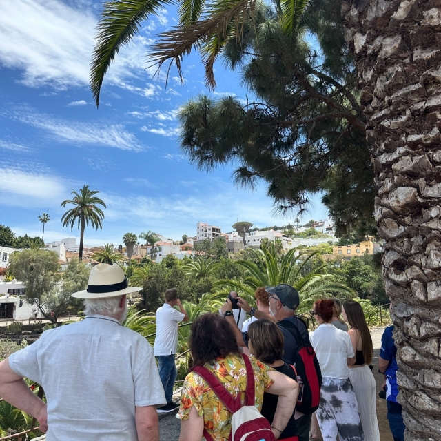 Excursión al Parque Drago Milenario