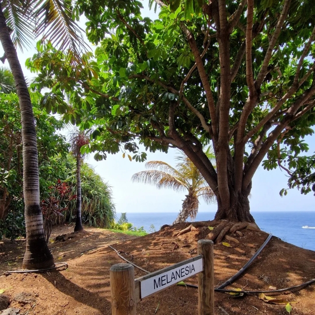  Pfad auf der Insel Teneriffa 
