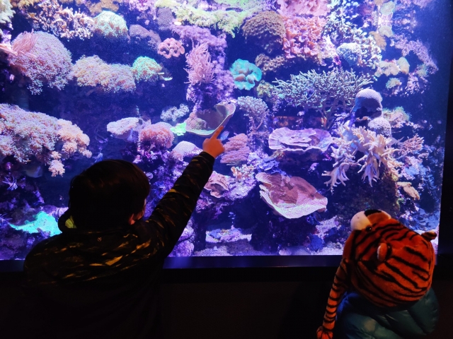  Enjoy with the little ones 