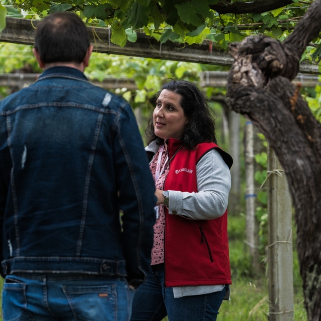 Explicación de la elaboración