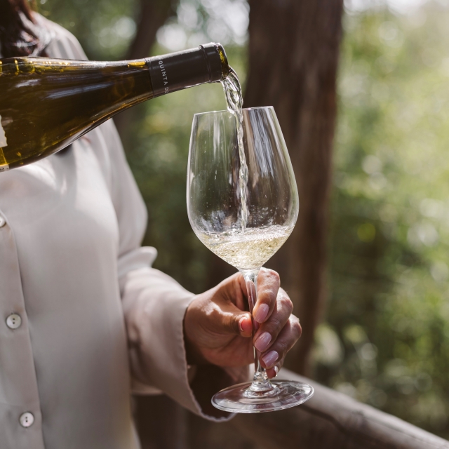 Nuestro vino blanco
