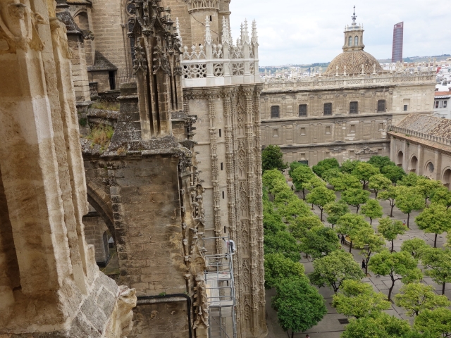  Vedute del Patio de Los Naranjos dalla Giralda 