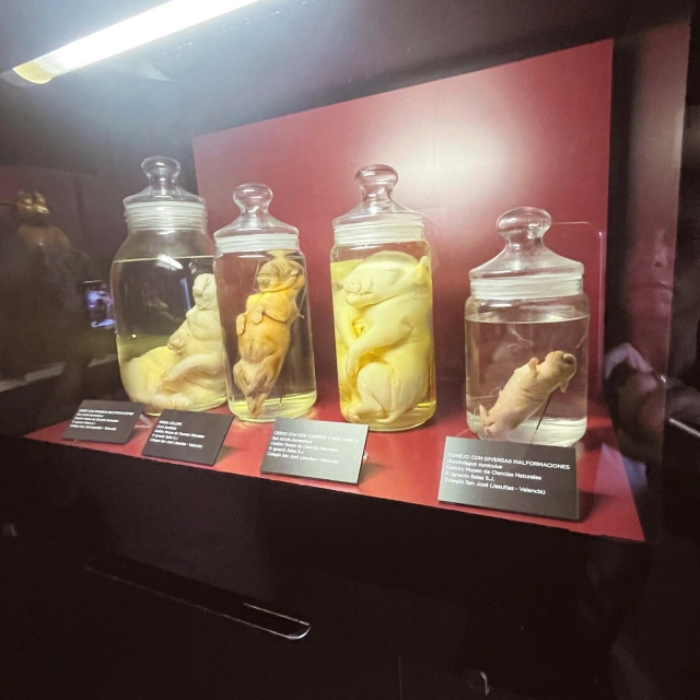  实验展览