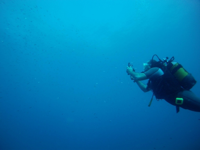 Buceando con los peces