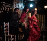 Espectáculo flamenco al aire libre, Granada 1 hora