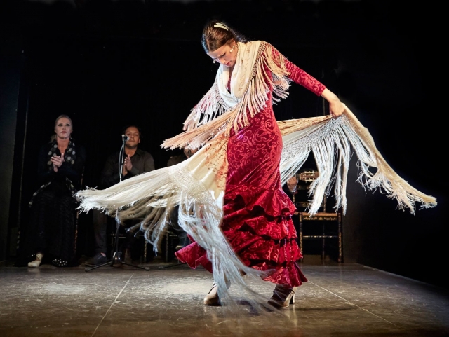  Danseur de flamenco 