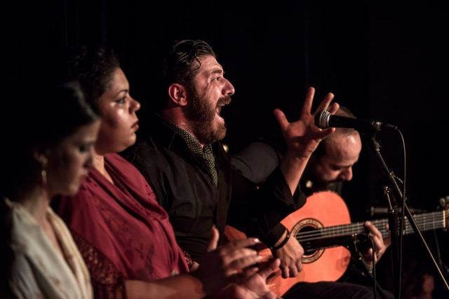 Chanter et jouer du flamenco 