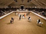 Tour completo Scuola Andalusa di Arte Equestre Jerez