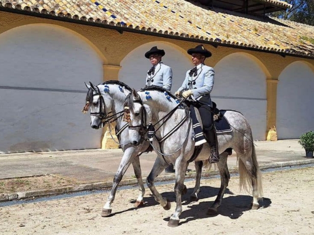  Chevaux et cavaliers 