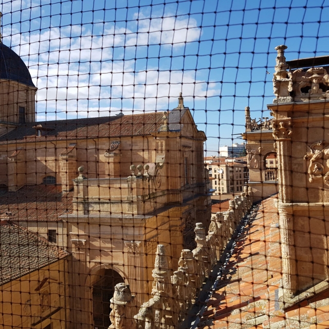  Esterno del palazzo