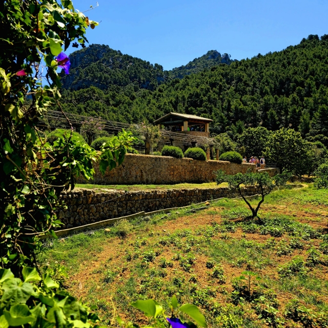 Sierra de Tramuntana