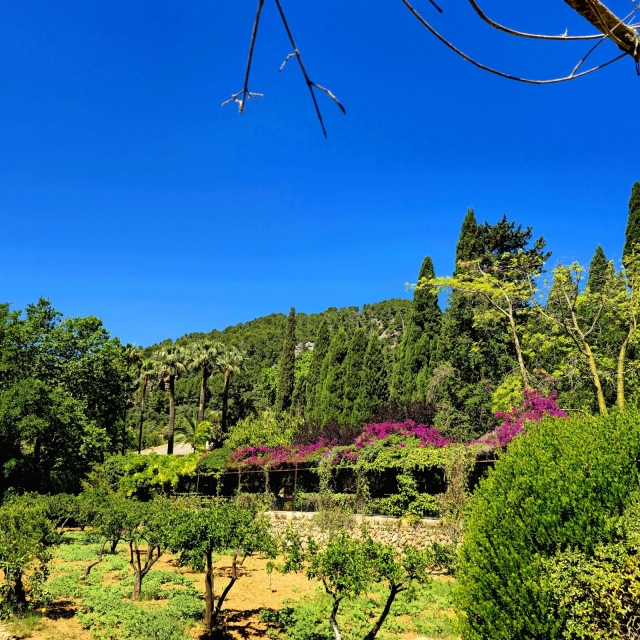 Sierra de Alfabia