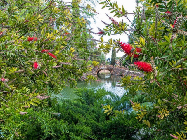 Jardín Botánico