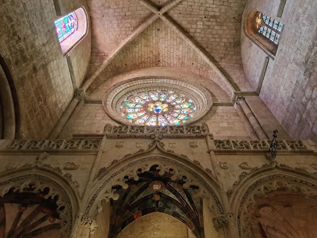  Cathedral of Light 