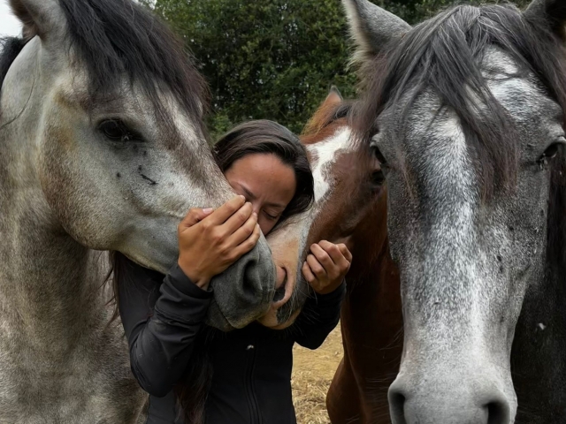 Amor por los caballos