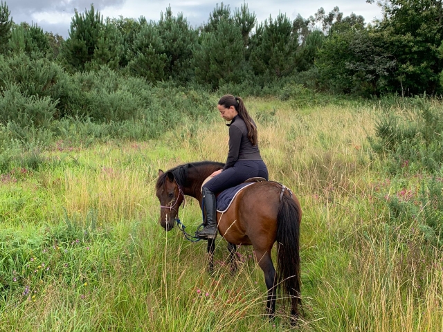  Horseback riding route in Arteixo 