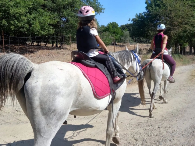 Desfrutar de cavalos 