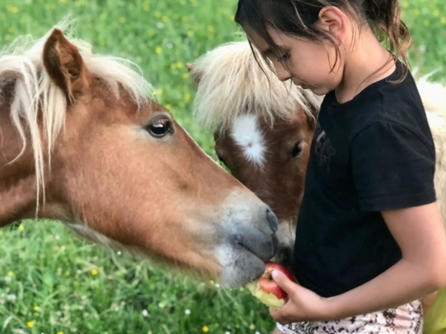 Alimentando a los ponis