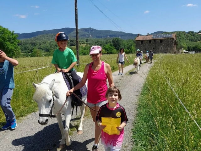 Disfrutando con los ponis