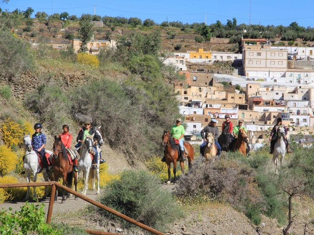 Paseo a caballo en Almería
