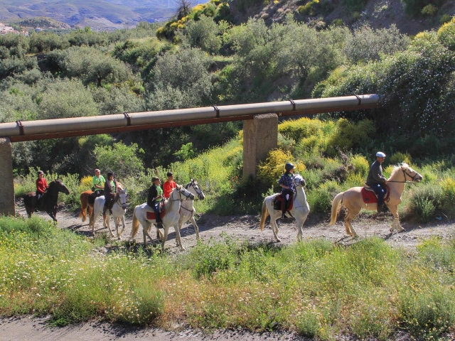 Cabalgamarra en Abla