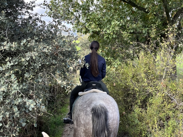 Descubre la naturaleza de Guadalix a caballo