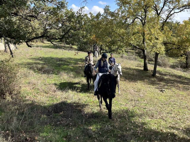 Ruta por Guadalix