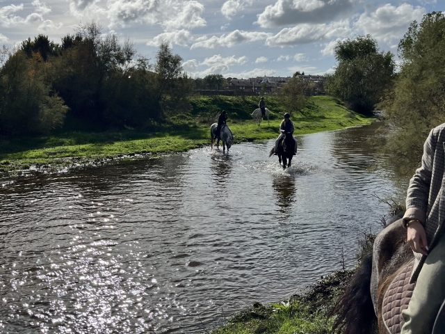 Cabalgamarras en el Arroyo de Navacerrada