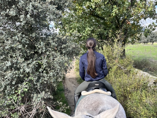  come to know our horses 