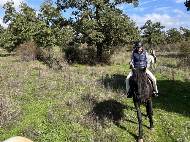  Discover Madrid on horseback To the horses 