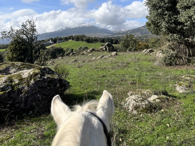  Sierra de Madrid on horseback 