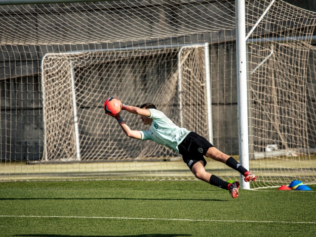  Evitare gol