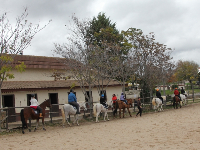  Equestrian in Manzanares El Real