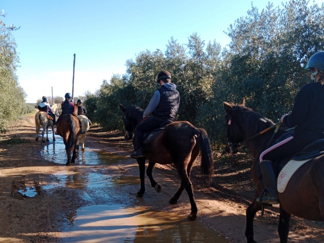  on horse