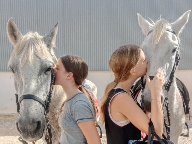  love for horses 